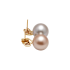 14KG 12.4/12.6mm Natural Color Tahitian Pearl and Shell Earrings