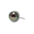 18KG 14.0mm Natural Color Tahitian Peacock Green Pearl Diamond Ring