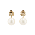 14KG 12.4/12.4mm Natural Color South Sea White Pearl and Shell Earrings